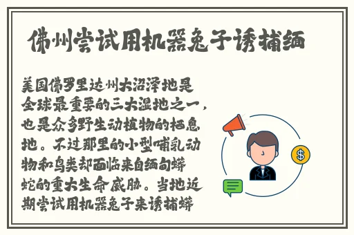 铿锵锵锵锵锵好多少央视网